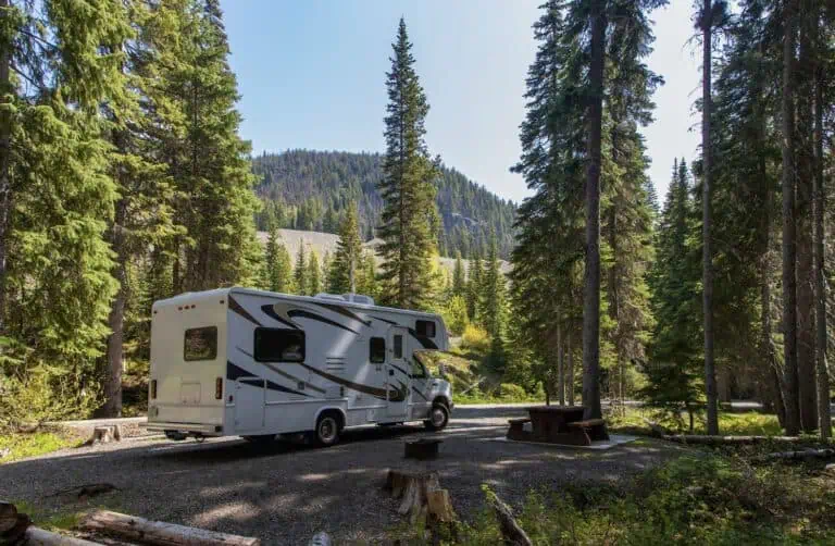 Selbstausbau Referenz SEA