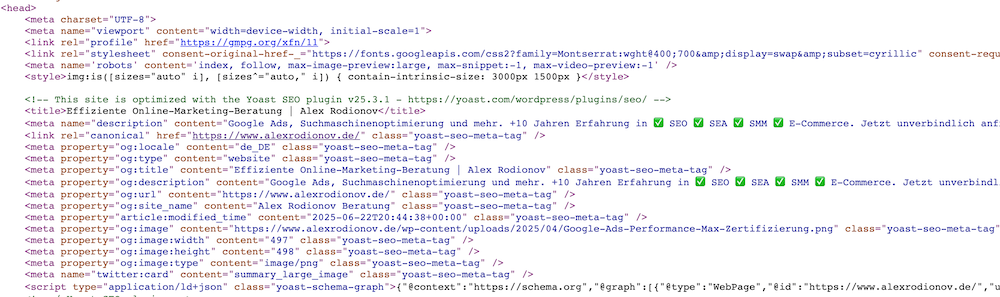 Meta Tags im Code