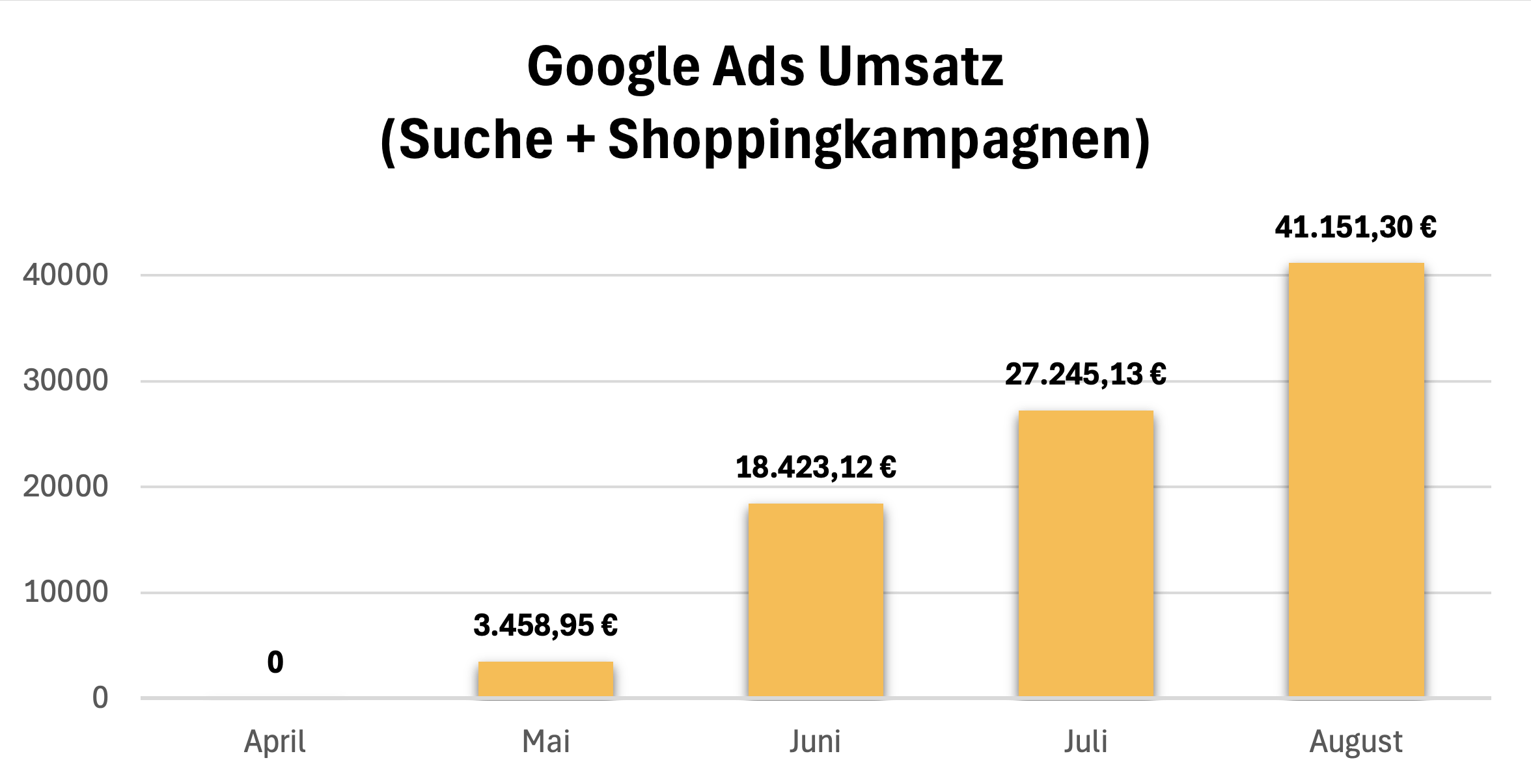AdWords Agentur Shopping Erfolg